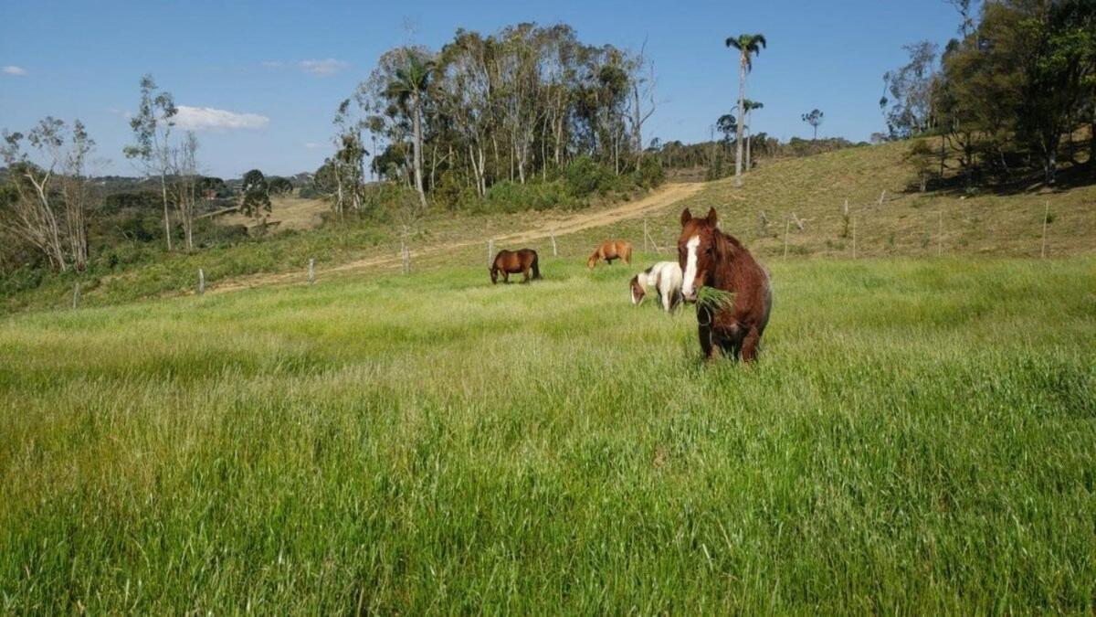 Rancho Sol Poente - Rancho Queimado - Sc Exterior foto